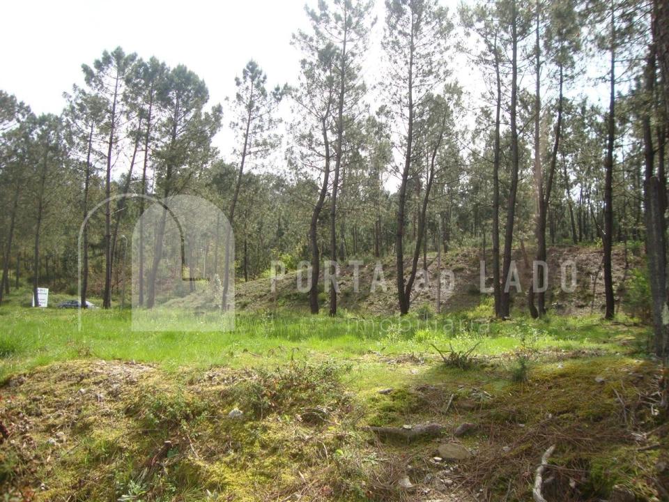 Terreno Agricola ou Rústico para Venda em Sandim, Olival, Lever e Crestuma Foto 8