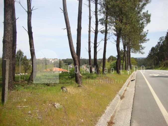 Terreno Agricola ou Rústico para Venda em Sandim, Olival, Lever e Crestuma Foto 3
