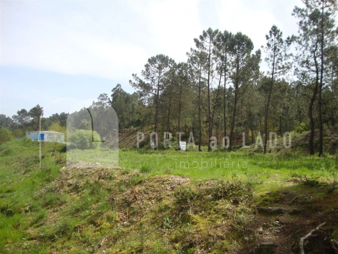 Terreno Agricola ou Rústico para Venda em Sandim, Olival, Lever e Crestuma Foto 7