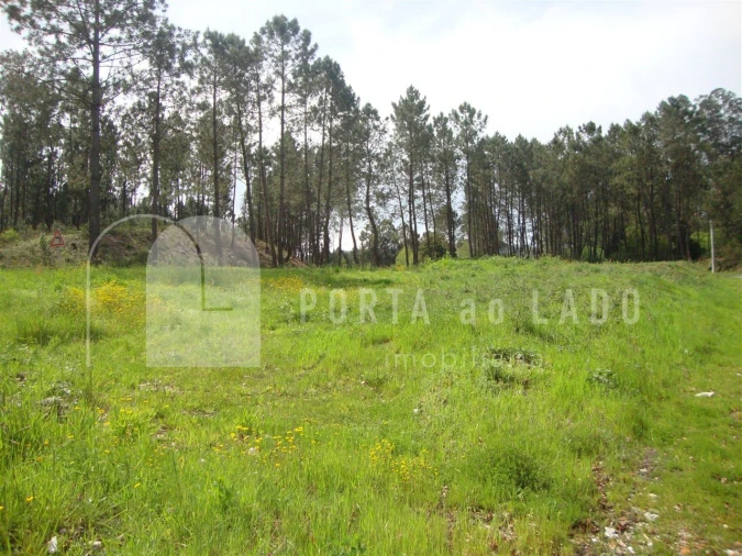 Terreno Agricola ou Rústico para Venda em Sandim, Olival, Lever e Crestuma Foto 9
