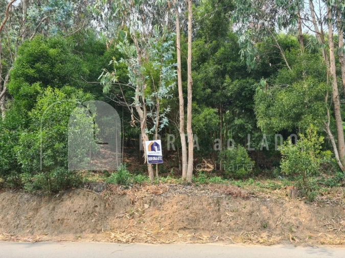 Terreno para Venda em Pedroso e Seixezelo Foto 7