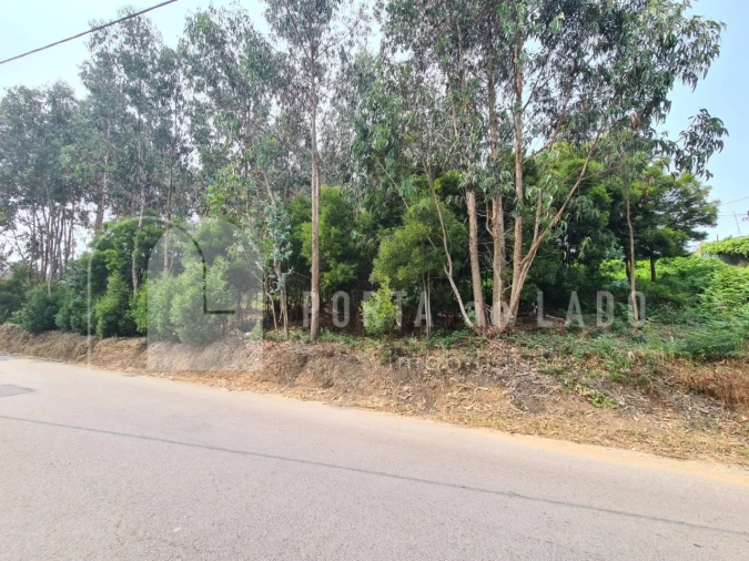 Terreno para Venda em Pedroso e Seixezelo Foto 4