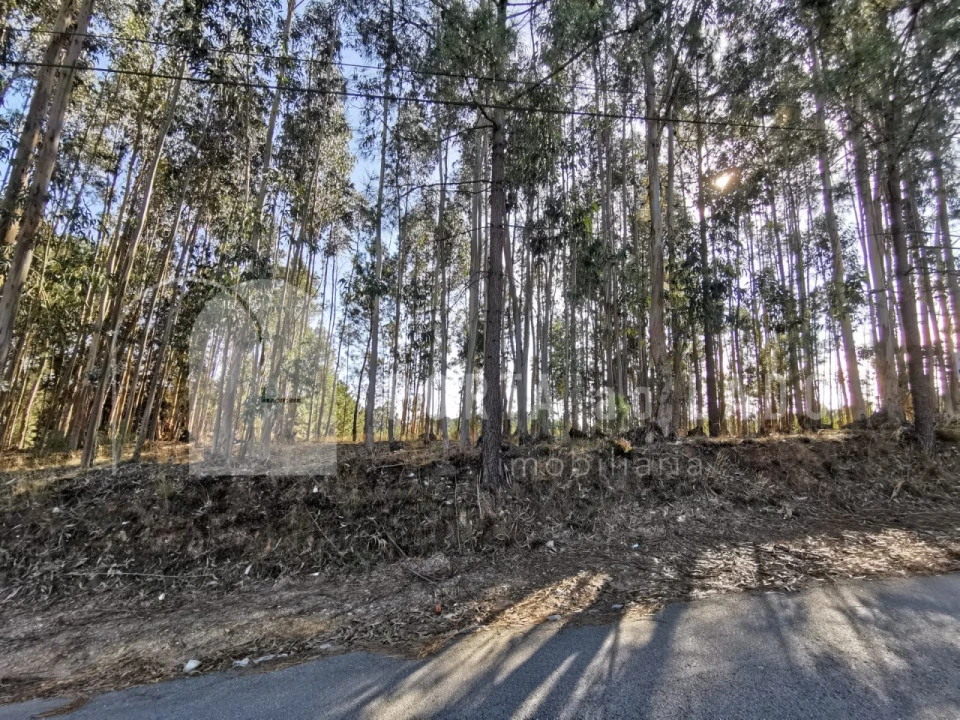 Terreno para Venda em Pedroso e Seixezelo Foto 7