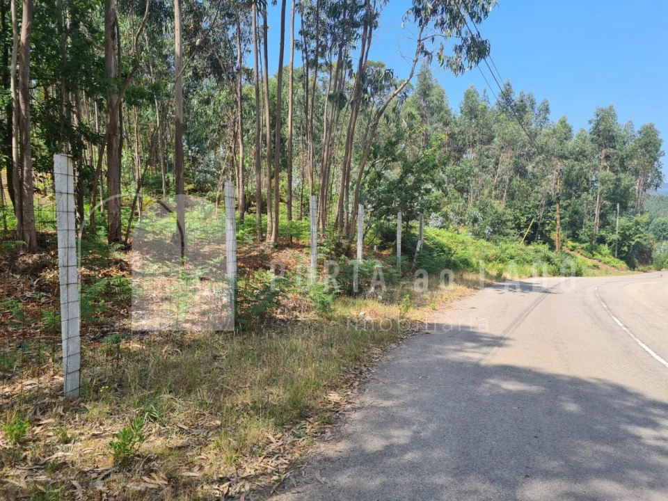 Terreno para Venda em Pedroso e Seixezelo Foto 5