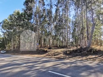 Terreno para Venda em Pedroso e Seixezelo