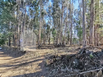 Terreno para Venda em Pedroso e Seixezelo