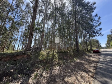 Terreno para Venda em Pedroso e Seixezelo