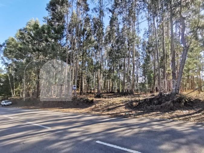 Terreno para Venda em Pedroso e Seixezelo Foto 6