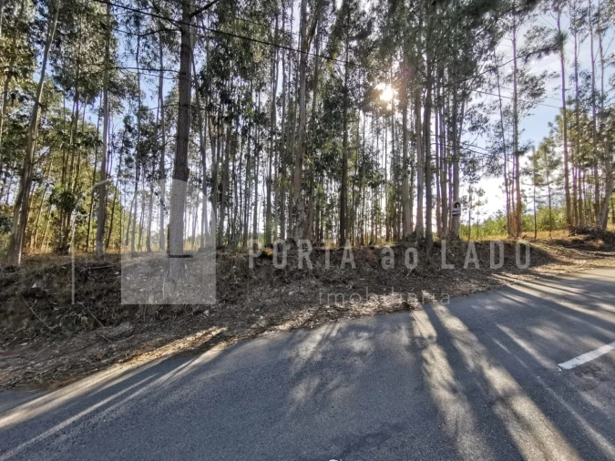 Terreno para Venda em Pedroso e Seixezelo Foto 8
