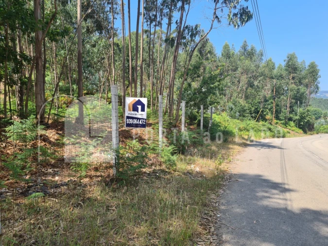 Terreno para Venda em Pedroso e Seixezelo Foto 4