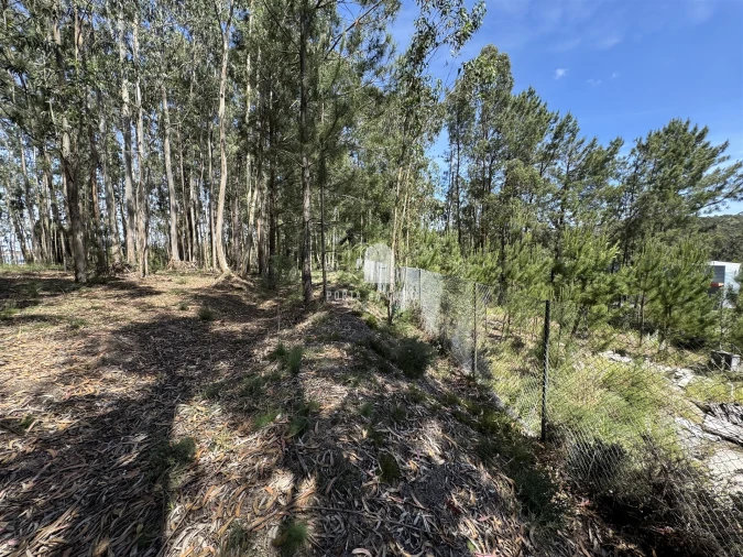 Terreno para Venda em Pedroso e Seixezelo Foto 3