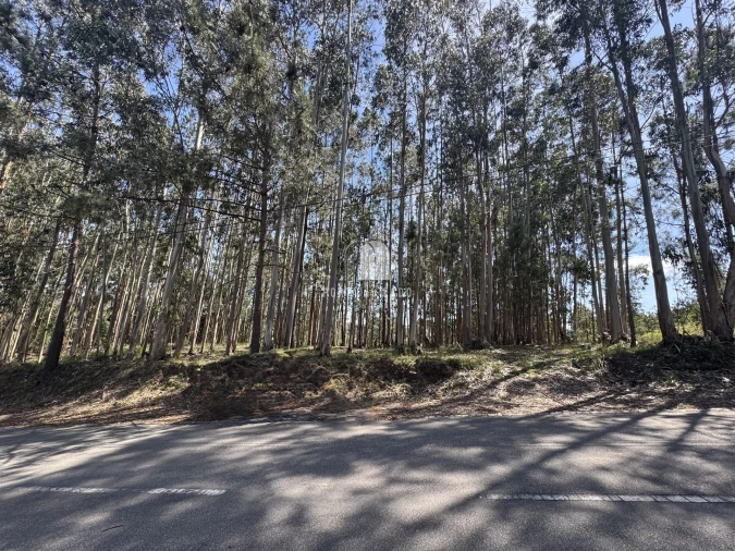 Terreno para Venda em Pedroso e Seixezelo Foto 5