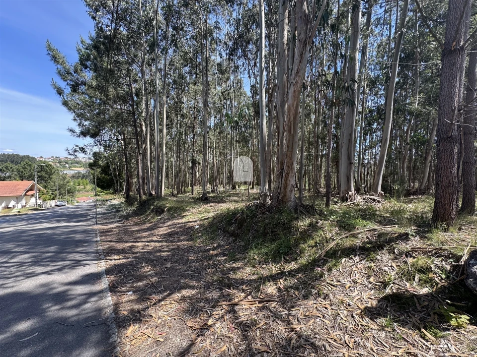 Terreno para Venda em Pedroso e Seixezelo Foto 1
