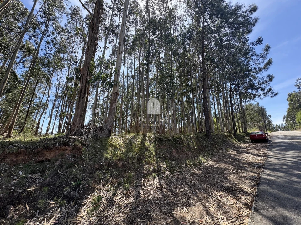 Terreno para Venda em Pedroso e Seixezelo Foto 6
