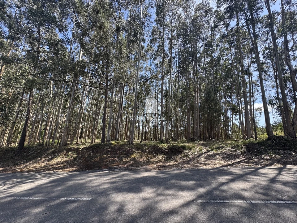 Terreno para Venda em Pedroso e Seixezelo Foto 5