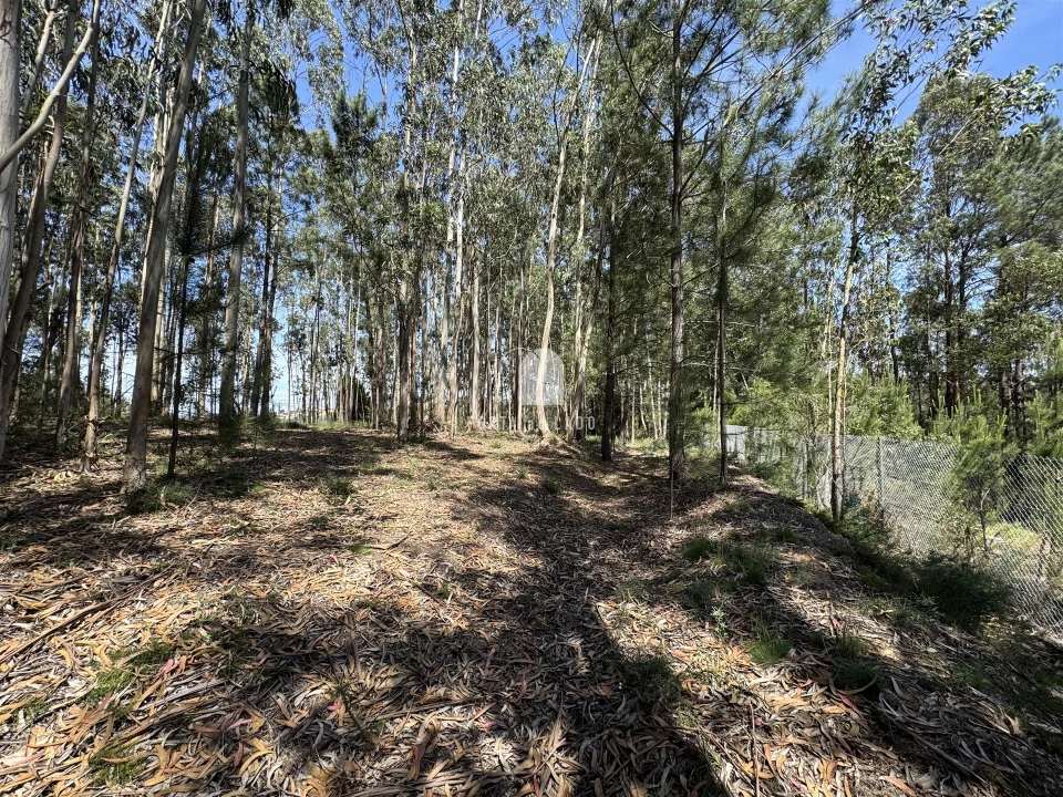Terreno para Venda em Pedroso e Seixezelo Foto 2