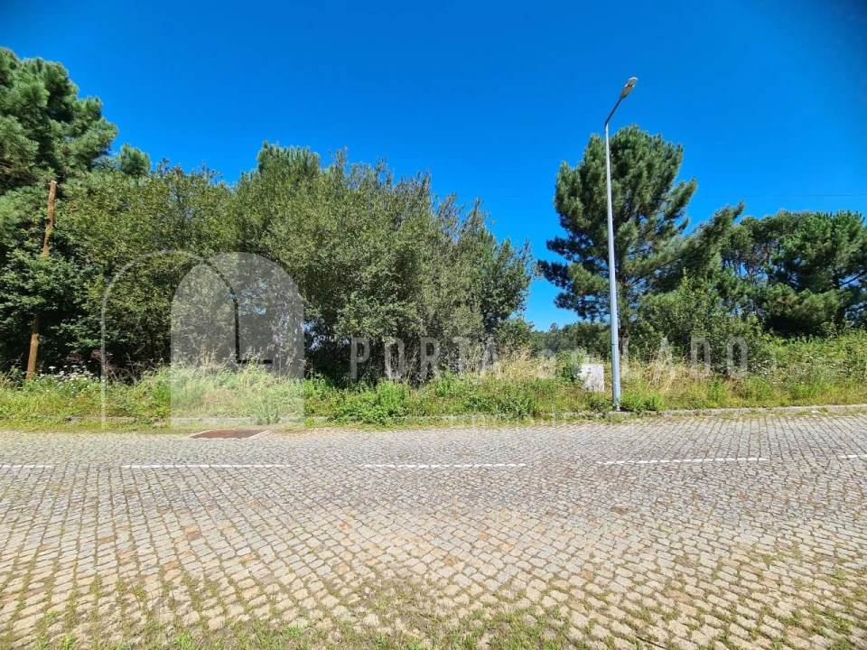 Terreno para Venda em Lobão, Gião, Louredo e Guisande Foto 7