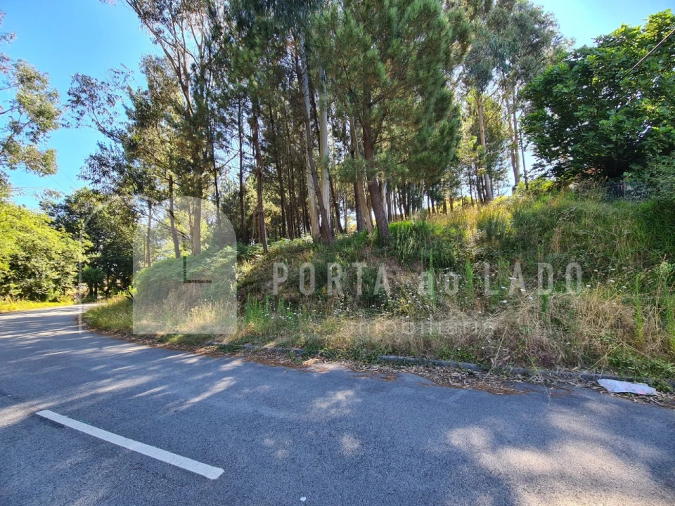 Terreno para Venda em Lobão, Gião, Louredo e Guisande Foto 4