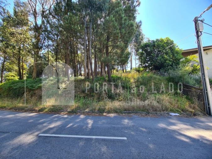 Terreno para Venda em Lobão, Gião, Louredo e Guisande Foto 5