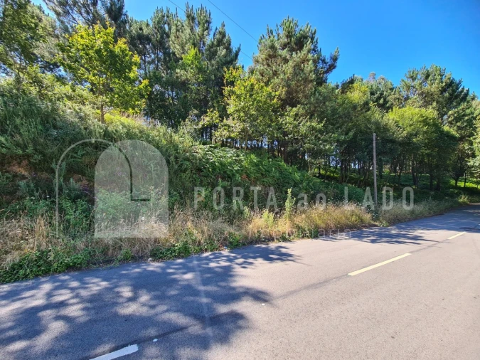 Terreno para Venda em Lobão, Gião, Louredo e Guisande Foto 5