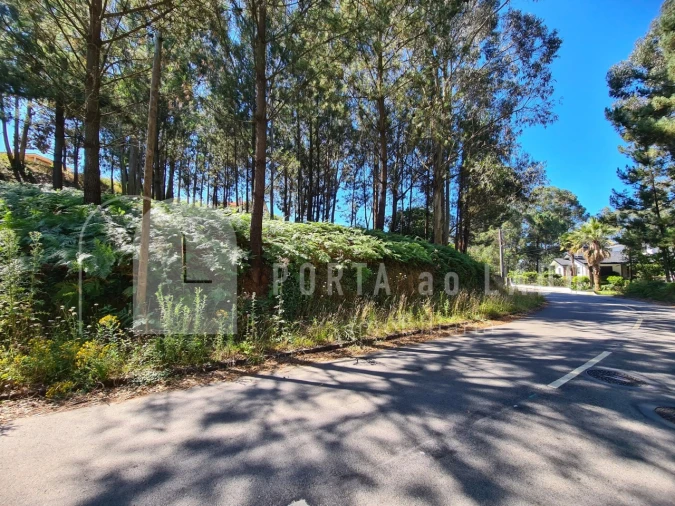 Terreno para Venda em Lobão, Gião, Louredo e Guisande Foto 4