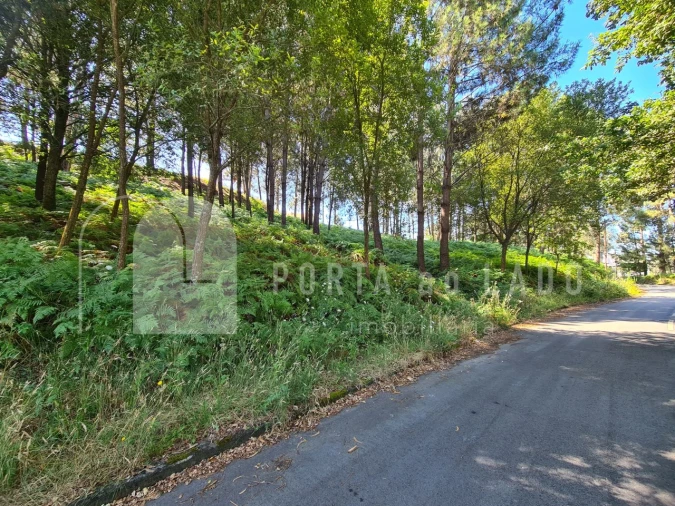 Terreno para Venda em Lobão, Gião, Louredo e Guisande Foto 5