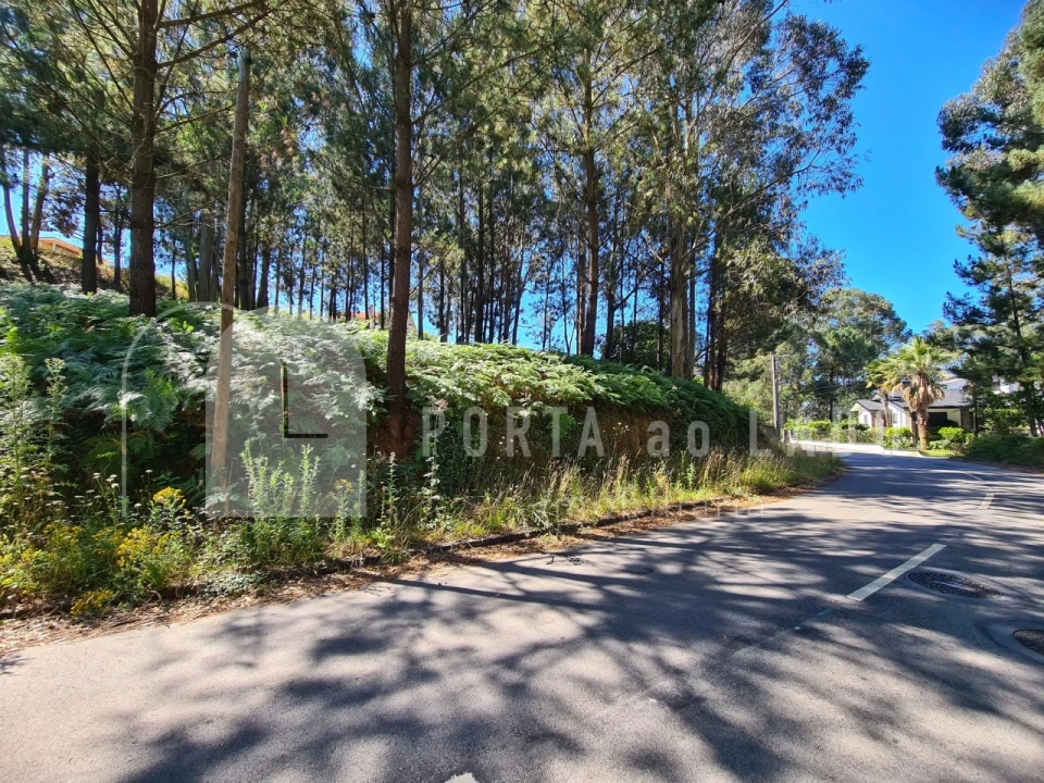 Terreno para Venda em Lobão, Gião, Louredo e Guisande Foto 3