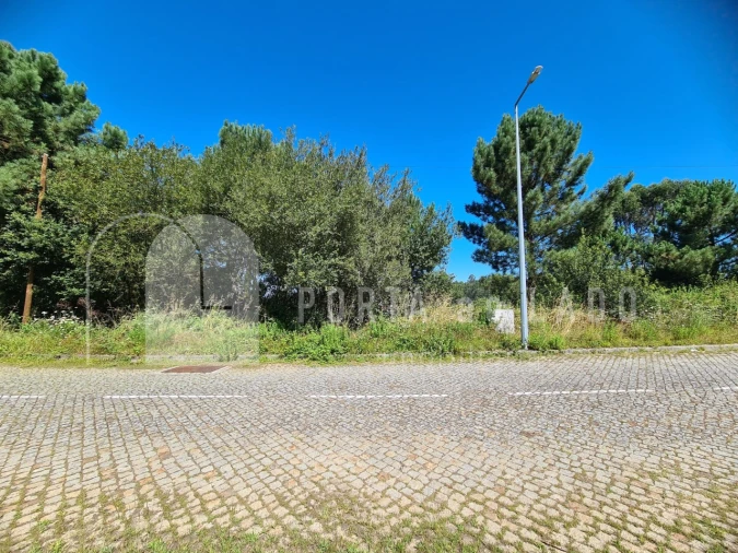Terreno para Venda em Lobão, Gião, Louredo e Guisande Foto 6