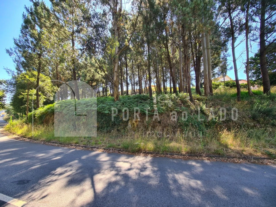 Terreno para Venda em Lobão, Gião, Louredo e Guisande Foto 5