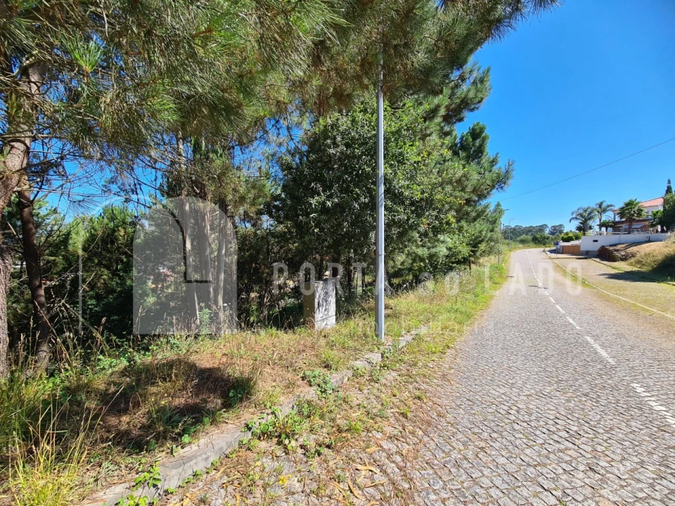 Terreno para Venda em Lobão, Gião, Louredo e Guisande Foto 4