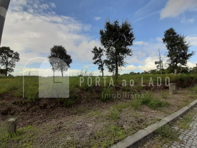 Terreno para Venda em Santa Maria da Feira, Travanca, Sanfins e Espargo Foto 5