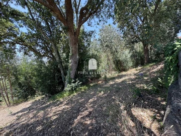 Terreno Agricola ou Rústico para Venda em Pedroso e Seixezelo