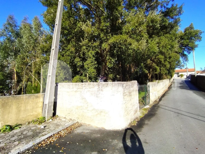 Terreno Agricola ou Rústico para Venda em Pedroso e Seixezelo Foto 5