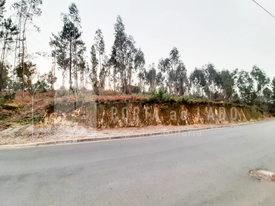 Terreno Agricola ou Rústico para Venda em Sandim, Olival, Lever e Crestuma Foto 4