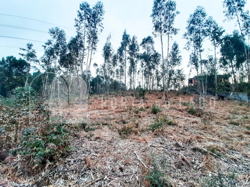 Terreno Agricola ou Rústico para Venda em Sandim, Olival, Lever e Crestuma Foto 9