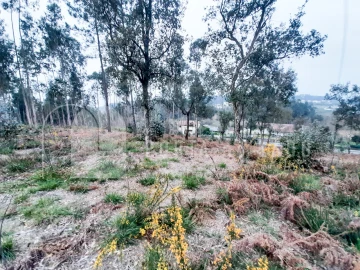 Terreno Agricola ou Rústico para Venda em Sandim, Olival, Lever e Crestuma