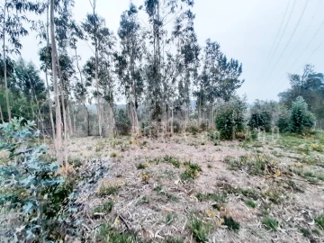 Terreno Agricola ou Rústico para Venda em Sandim, Olival, Lever e Crestuma