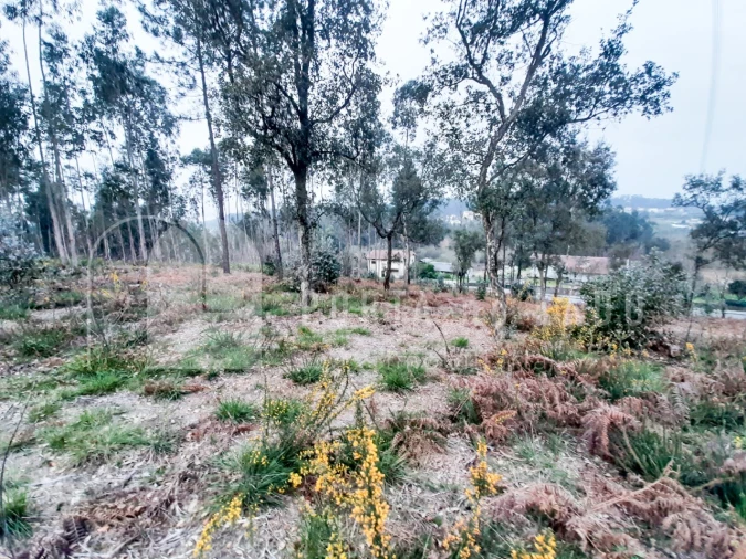 Terreno Agricola ou Rústico para Venda em Sandim, Olival, Lever e Crestuma Foto 8