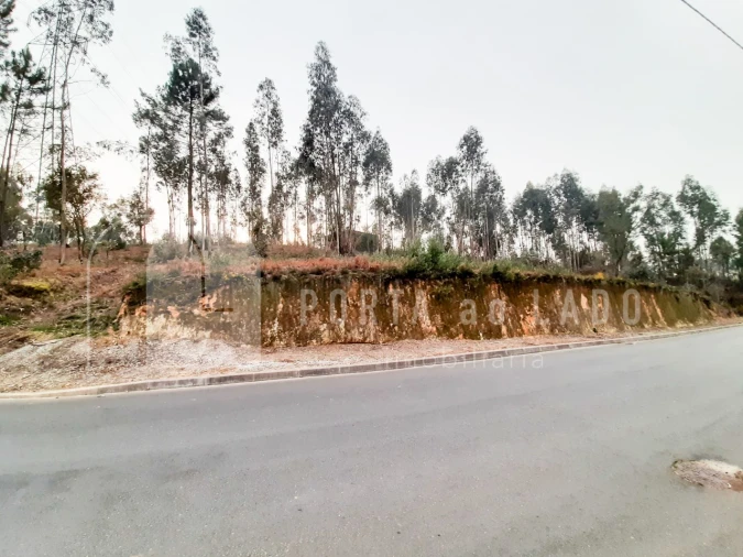 Terreno Agricola ou Rústico para Venda em Sandim, Olival, Lever e Crestuma Foto 4