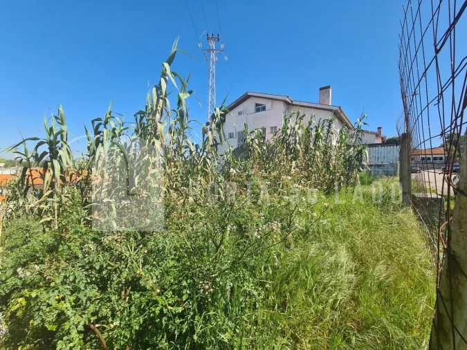 Terreno para Venda em Grijó e Sermonde Foto 5