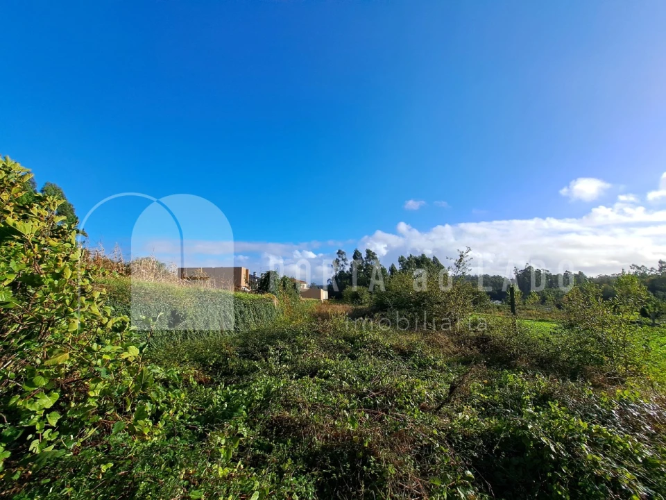 Terreno Agricola ou Rústico para Venda em Sandim, Olival, Lever e Crestuma Foto 7
