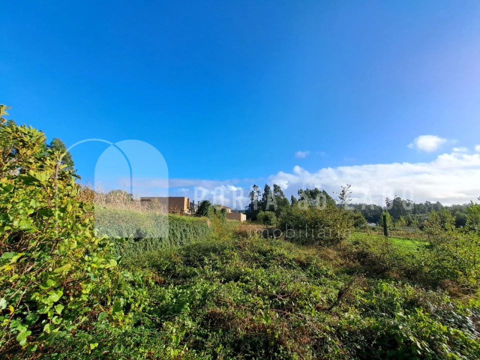 Terreno Agricola ou Rústico para Venda em Sandim, Olival, Lever e Crestuma Foto 8