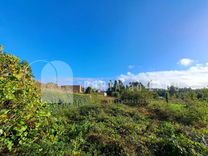 Terreno Agricola ou Rústico para Venda em Sandim, Olival, Lever e Crestuma Foto 8