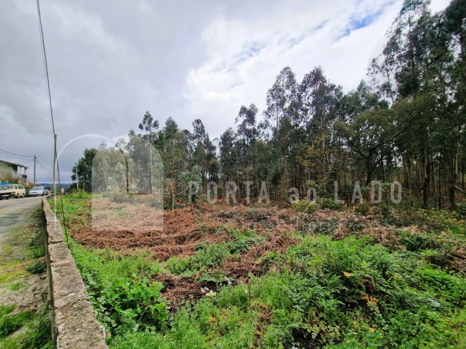 Terreno para Venda em Argoncilhe Foto 2