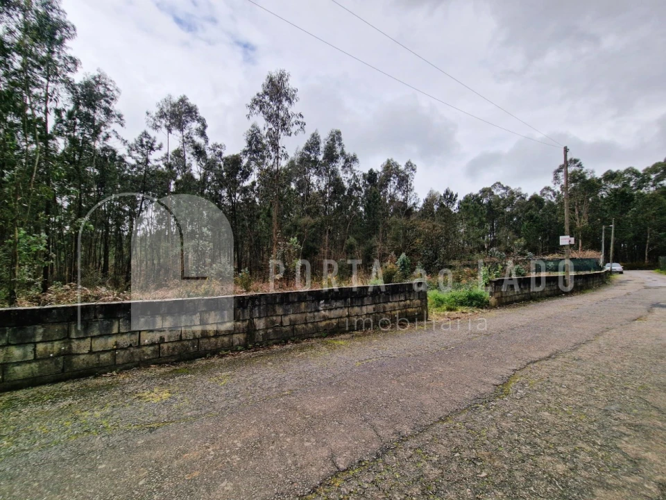 Terreno para Venda em Argoncilhe Foto 3