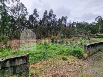 Terreno para Venda em Argoncilhe