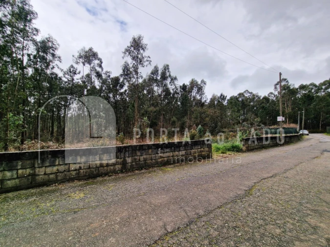 Terreno para Venda em Argoncilhe Foto 3