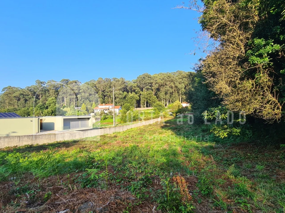 Terreno Agricola ou Rústico para Venda em Grijó e Sermonde Foto 3