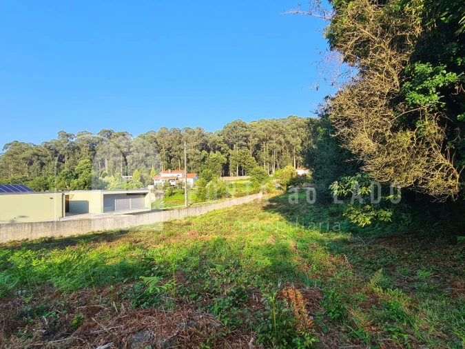 Terreno Agricola ou Rústico para Venda em Grijó e Sermonde Foto 3