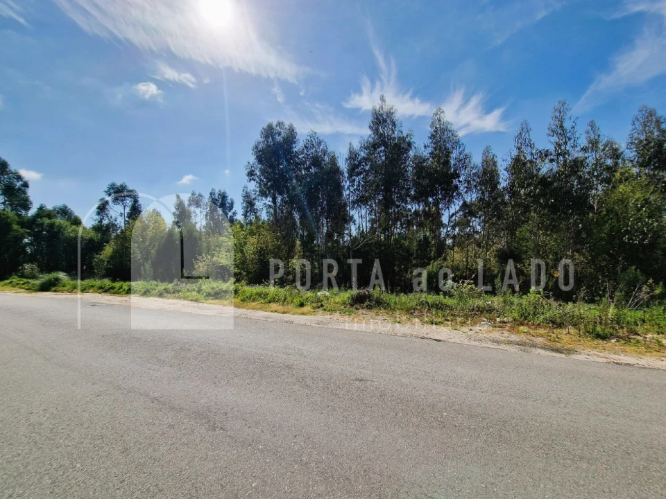 Terreno Agricola ou Rústico para Venda em Pedroso e Seixezelo Foto 4